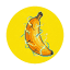 BanaGen logo