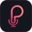 PipeVoice logo