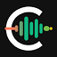 CleanAudio logo