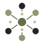 NearoLeads logo