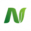 Aroid Nursery logo