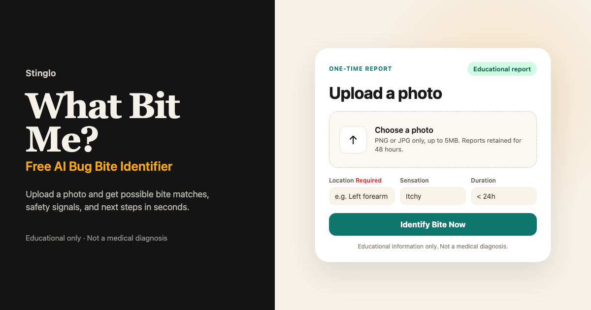 What Bit Me? Free AI Bug Bite Identifier