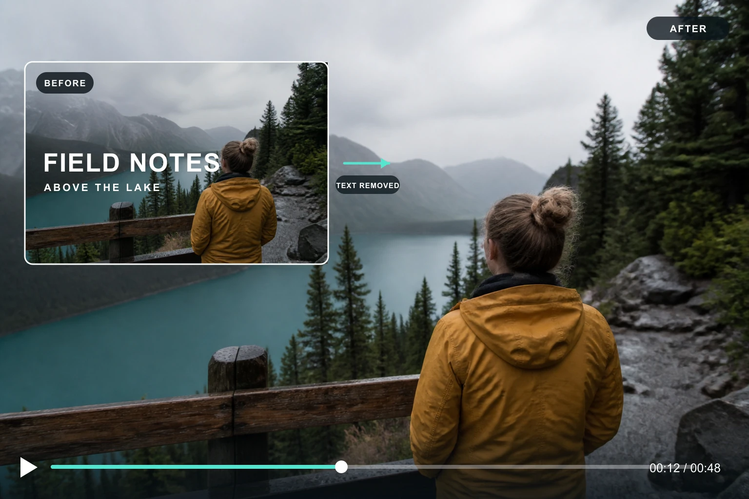 Video Text Remover
